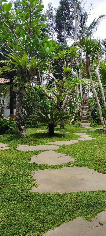 Homestay Tangkas House *